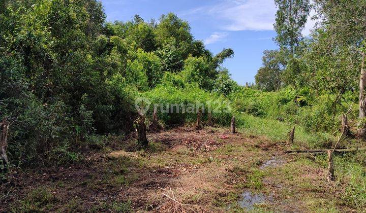 Tanah Murah Luas Lokasi di Kota Palembang SHM Nego Sampai Jadi 2