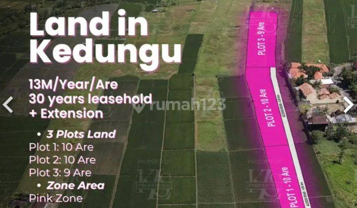 LAND KEDUNGU BEACH LEASEHOLD 29ARE PERFECT FOR VILLAS 1