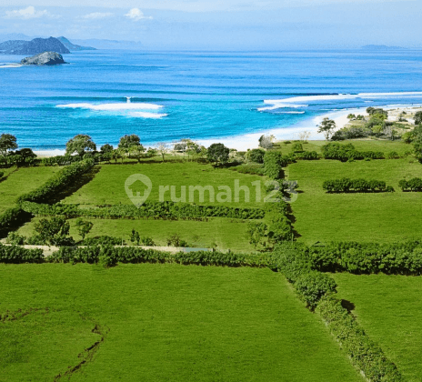dijual tanah di sumbawa pinggir pantai 1