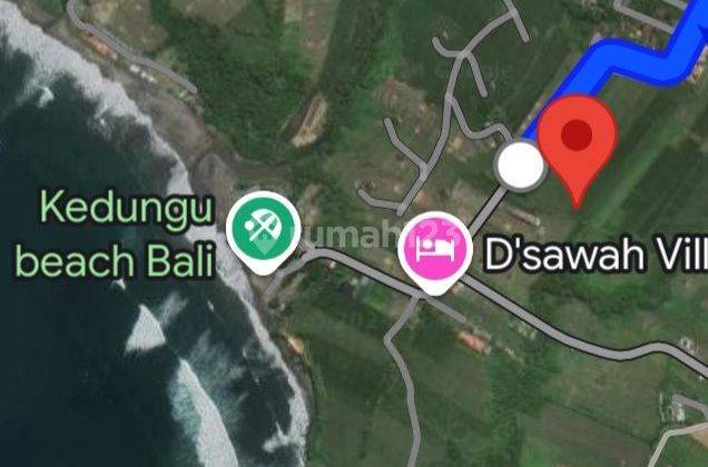 LAND FOR RENT KEDUNGU BEACH 35ARE 16MIL/ARE PER YEAR 2