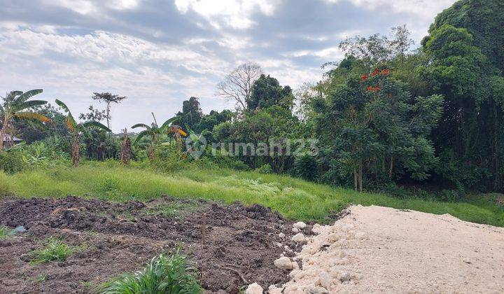 For rent land pererenan good location suitable to build villa 2