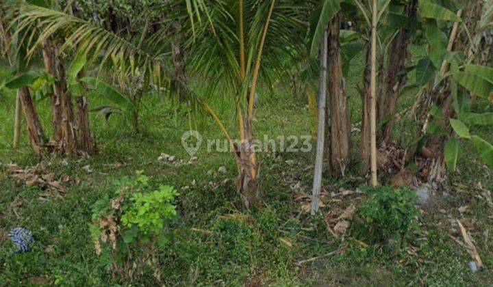 FOR LEASE LAND TABANAN 80ARE MINUTES TO KEDUNGU BEACH 2