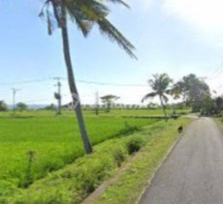 LEASEHOLD LAND KEDUNGU BEACH 400 METERS TO BEACH  2