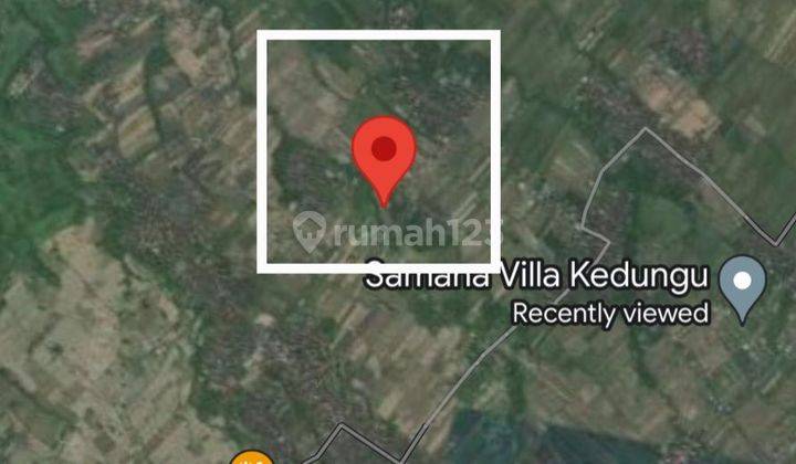 FOR RENT LAND KEDUNGU BEACH  POTENTIAL LOCATION CHEAP PRICE  1