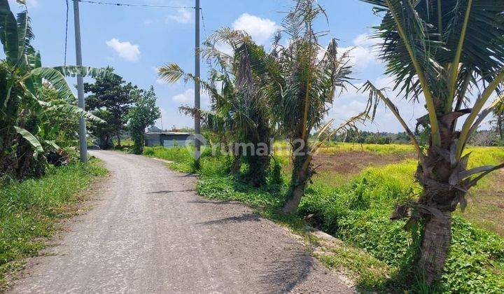 KEDUNGU LAND FOR SALE SUITABLE FOR A VILLA IN A STRATEGIC LOCATION 1