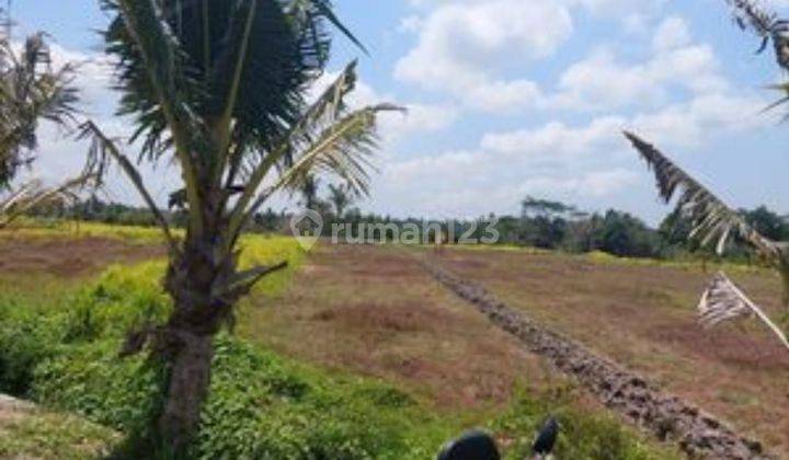 KEDUNGU LAND FOR SALE SUITABLE FOR A VILLA IN A STRATEGIC LOCATION 2