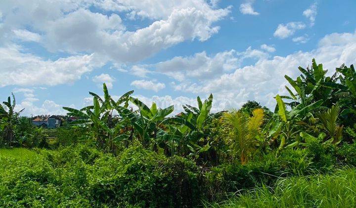 FREEHOLD LAND FOR SALE IN TABANAN SHM SUITABLE FOR VILLA 1