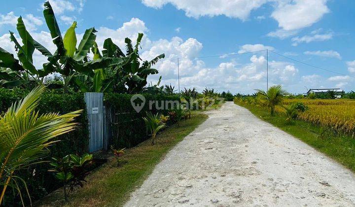 FREEHOLD LAND FOR SALE IN TABANAN SHM SUITABLE FOR VILLA 2