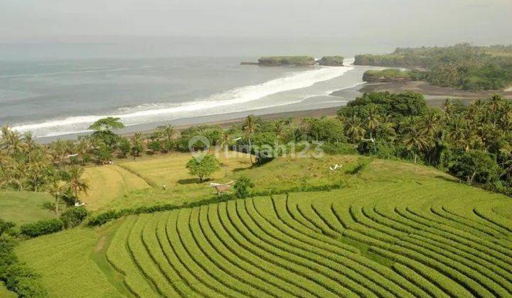 DIJUAL TANAH TABANAN PINGGIR PANTAI SANGAT COCOK UNTUK RESORTS  2