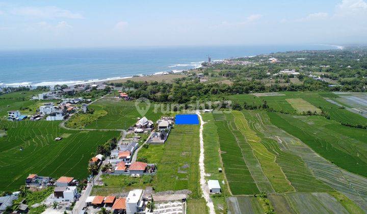 FOR RENT LAND CEMAGI PERFECT FOR BUILDING VILLA  1