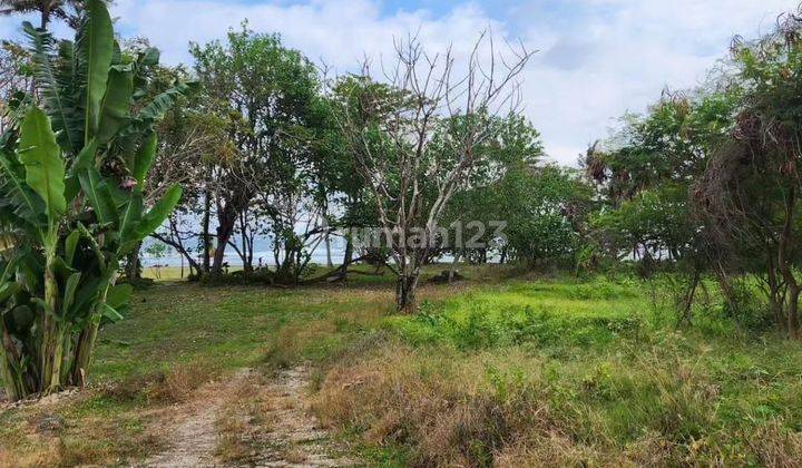 FIR SALE LAND CEMAGI BEACH FRONT PERFECT LOCATION FOR RESORTS  2