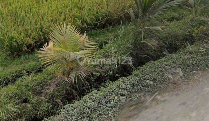 FOR LEASEHOLD LAND SESEH 16 ARA SUITABLE FOR VILLA  1