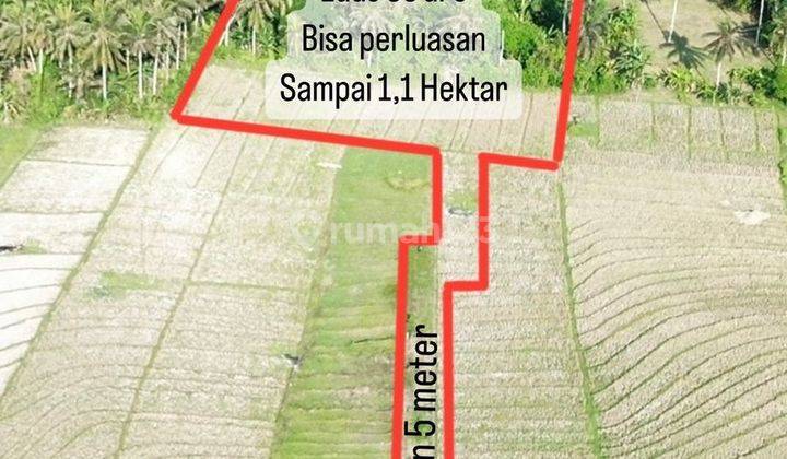 LAND FOR SALE TABANAN PASUT SUITABLE FOR VILLA 1