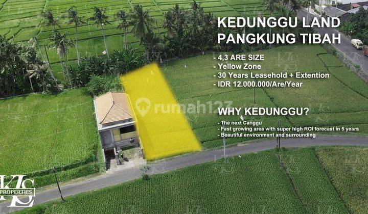 FOR RENT LAND KEDUNGU 4,3ARE GOOD FOR VILLA 2