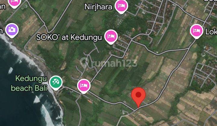 FOR RENT LAND KEDUNGU POTENTIAL LOCATION PERFECT FOR VILLAS  2