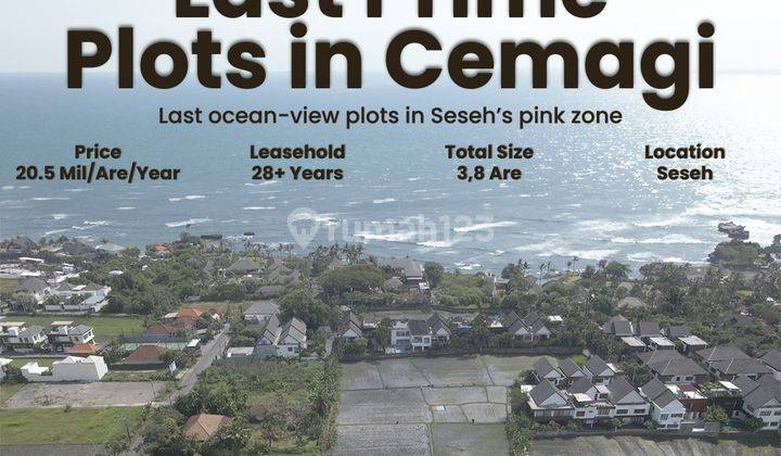 for leasehold land in cemagi seseh small plot  near the beach suitable for villa  1