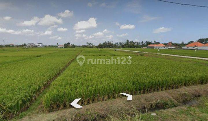 FOR RENT LAND CEMAGI SESEH 2,7ARE 250MILLIONS PER ARE PER YEAR  2