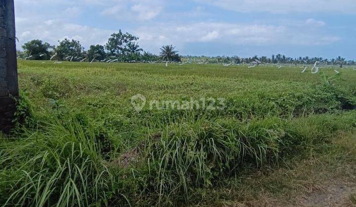 FOR LEASEHOLD LAND KABA-KABA TABANAN GOOD LOCATION SUITABLE FOR VILLAS  1