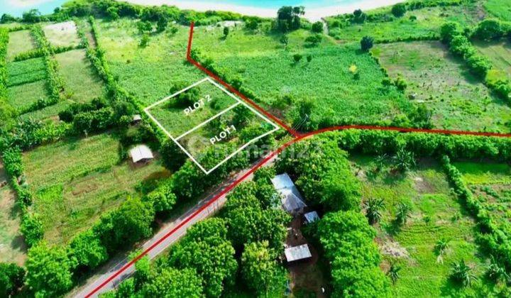 FOR SALE LAND SUMBAWA FREEHOLD PERFECT FOR VILLA  2