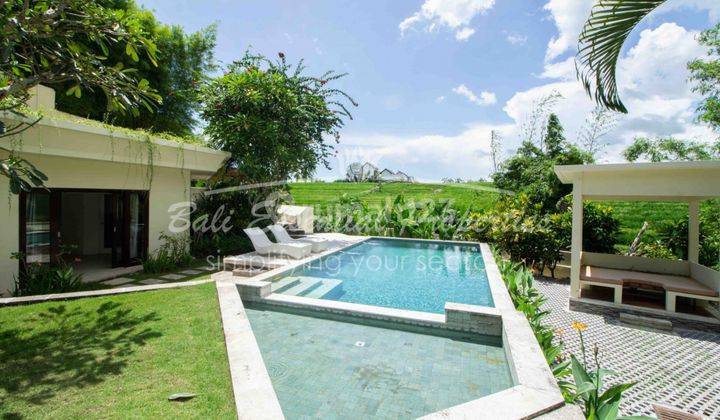 4 Bedrooms Rice Filed View Villa For Sale In Pererenan Bali 2