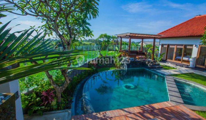 3 Bedroom Ricefield View Villa For Sale In Berawa Bali 2