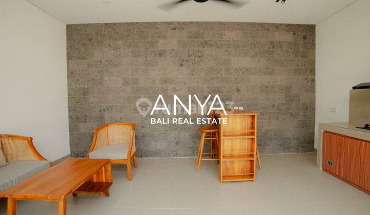 Yearly Rental Brand New Villa 2 Bedrooms Furnished in Sanur Denpasar Bali 2