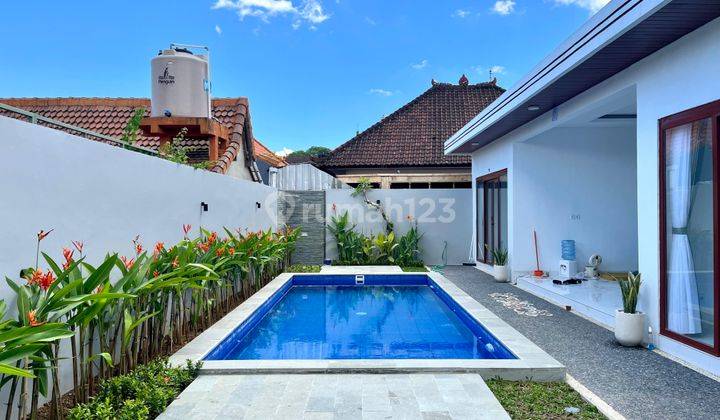 Yearly rental Villa 2 Bedrooms Unfurnished location at Padonan close Canggu Bali 1