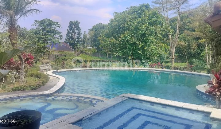 Villa Cakep di Puncak Bogor Villa Cakep di Puncak Bogor