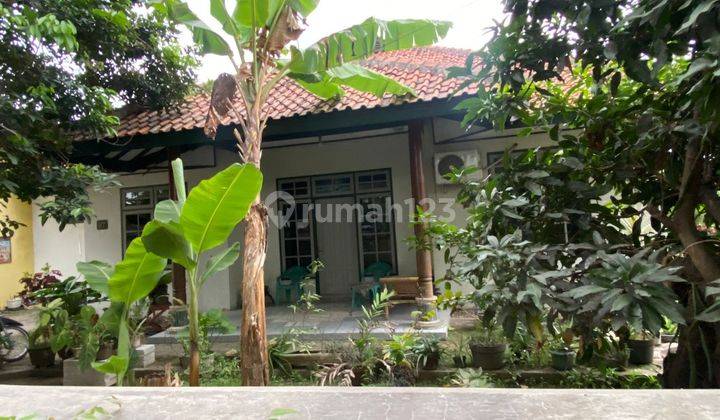 Dijual Rumah Asri 1 Lantai di Serang, Serang Banten 2