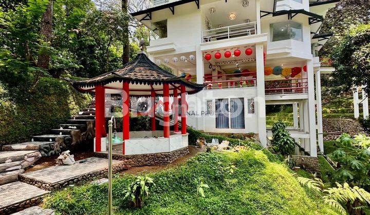 VILLA DAN COTTAGE JAPANESE STYLE FULL FURNISHED MEGAMENDUNG PUNCAK BOGOR 1