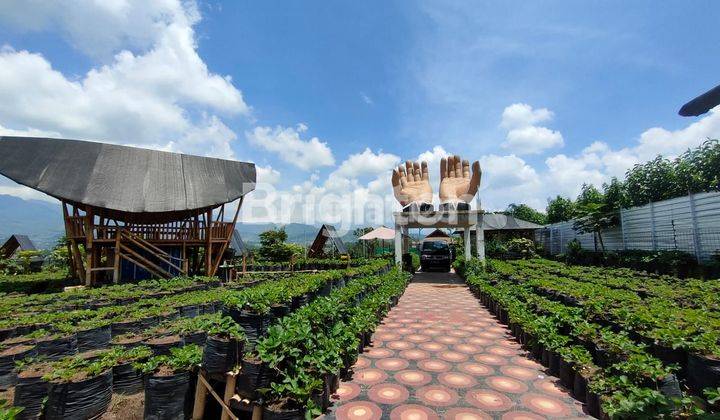 Ruang Usaha View Gunung, Sawah, Kebun Strawberry & Kolam Renang 1