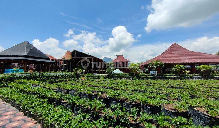 Ruang Usaha View Gunung, Sawah, Kebun Strawberry & Kolam Renang 2