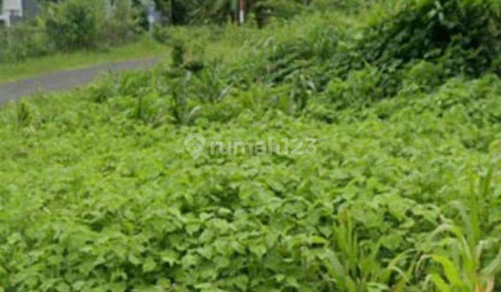 Tanah Di Giri Palma Dieng Tidar , Dau Malang Deket Vpt Shm 1