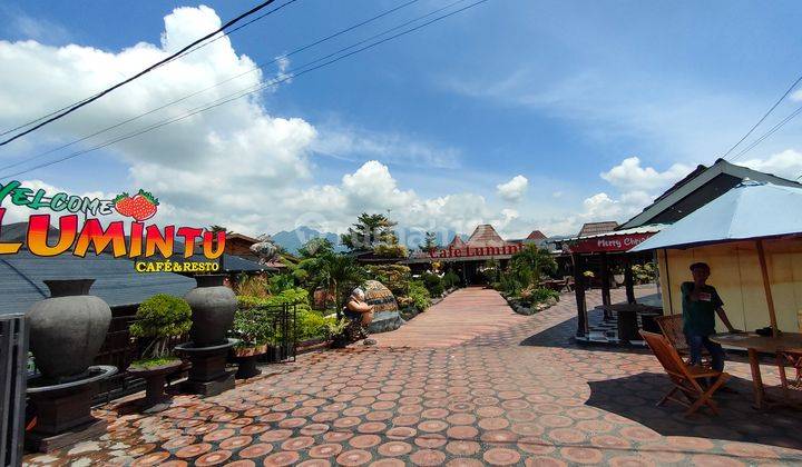 Ruang Usaha View Gunung, Sawah, Kebun Strawberry & Kolam Renang 2