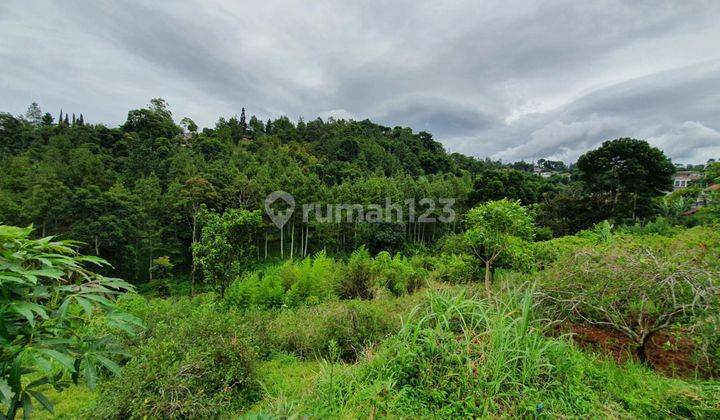 Tanah Di Dago Giri Strategis Cocok Untuk Tempat Wisata/Perumahan/Koplek Villa 1