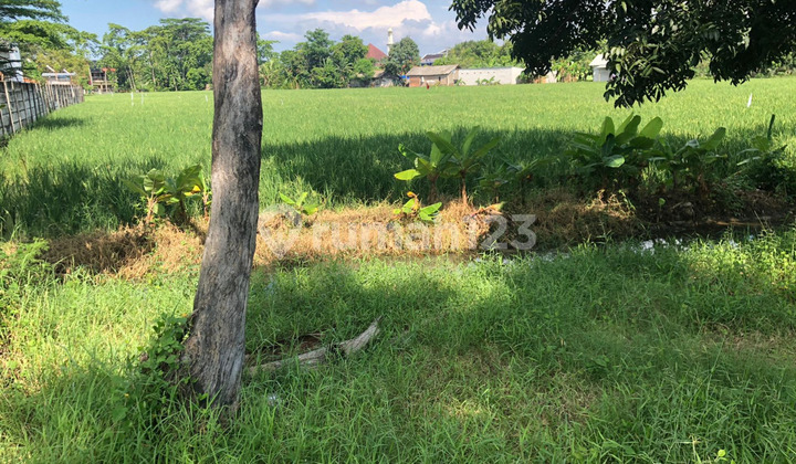 Dijual Tanah di Gatot Subroto Mainroad Indramayu