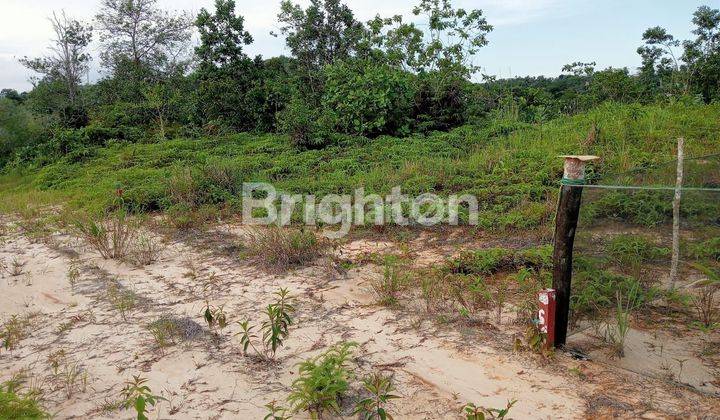 Tanah Kavling Belakang Grand City siap Bangun 1