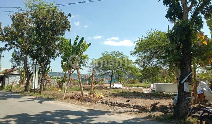 For Rent: Spacious Land Located at Jl. Genting Baru, Meteseh, Tembalang, Semarang 1