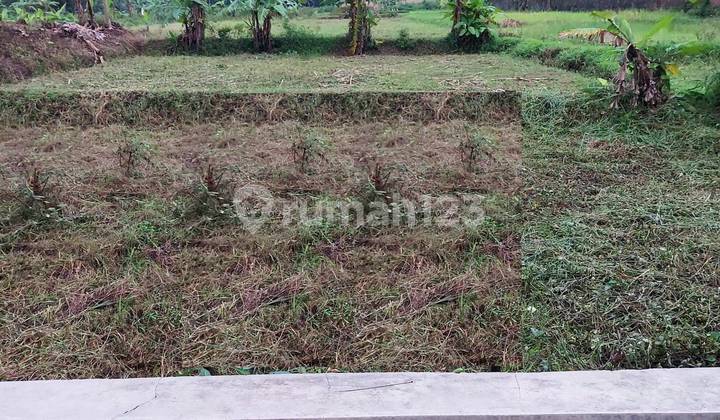Dijual Tanah Luas Lokasi Strategis di Jl. Patimura Salatiga