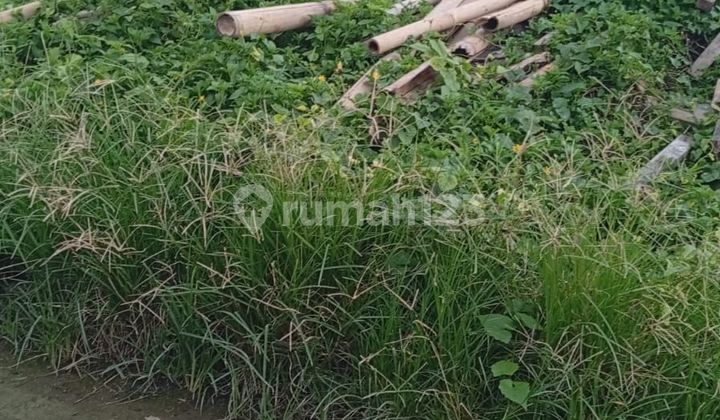 Dijual Tanah Lokasi Jalan Padma, Penatih, Denpasar Timur