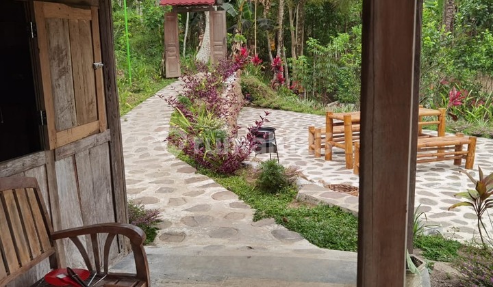 For Sale 5 Private Homestays, Ijen Glagah Banyuwangi For Sale 5 Private Homestays, Ijen Glagah Banyuwangi