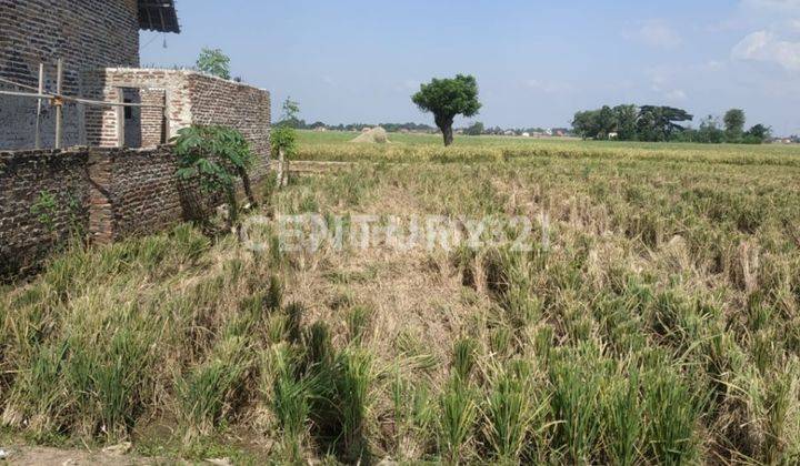 Tanah Sawah Produktif Kilasah Kasemen 1