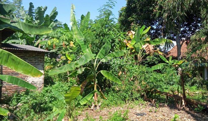 Tanah Banjar Agung Link Tanjakan Nego Sampai Deal 2