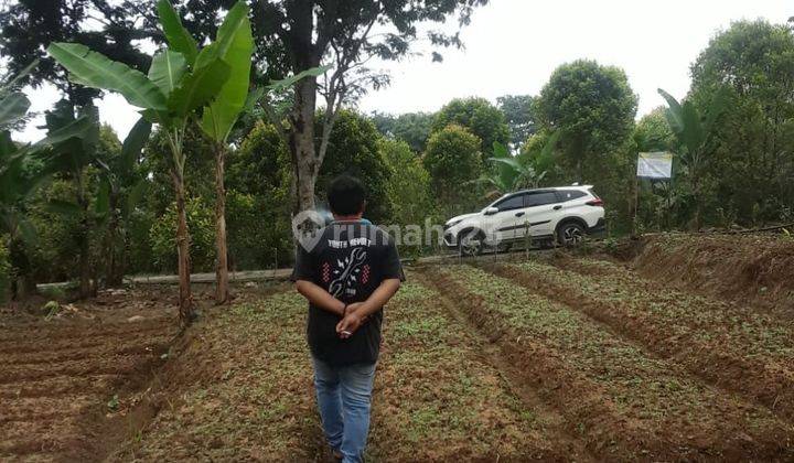 Tanah Produktif Cadas Sari Pandeglang Harga Miring 1