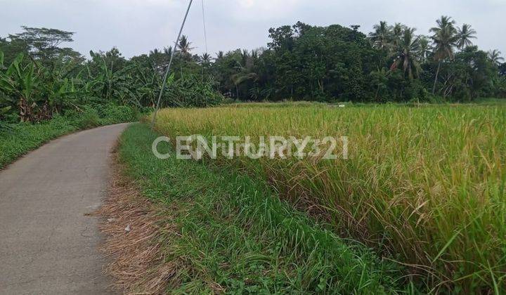 Tanah Jalan Raya Petir Curug Nego Sampai Deal 1