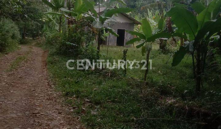 Tanah Luas Desa Kubang Kondang Pandeglang 1