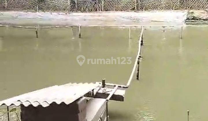 Tanah Berikut Empang Dan Ikan Jl Raya Palka Pabuaran 1