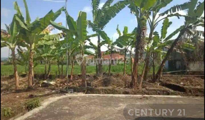 Tanah Harga Miring Kadugede Kuningan Nego 2