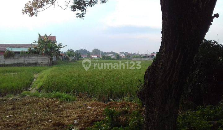 Tanah 1 hektar lebih dekat perumahan puri anggrek 2