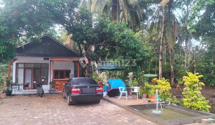 Tanah plus Cottage Kp Cangkudu Panimbang 2